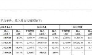 最新：大疆全景相机市占近半，沙利文报告两度下架数据成谜