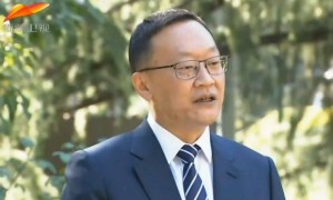 刘琛被查